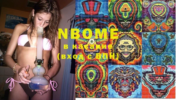 индика Бугульма