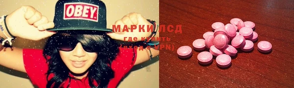 индика Бугульма