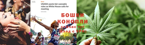 дмт Бронницы