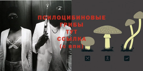 марки nbome Бородино