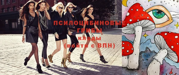 индика Бугульма