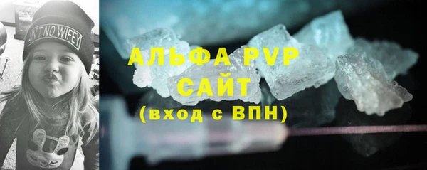 индика Бугульма