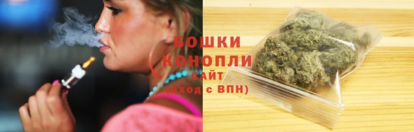 индика Бугульма