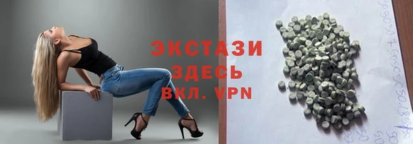 индика Бугульма