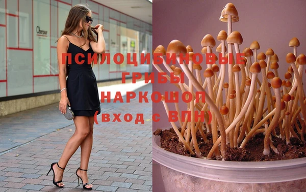 индика Бугульма