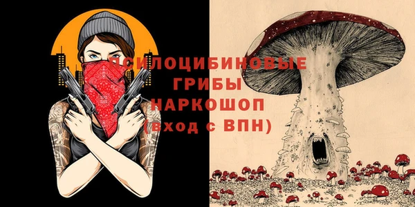 марки nbome Бородино
