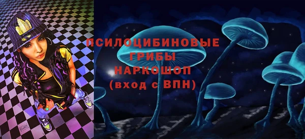 марки nbome Бородино