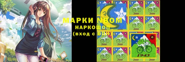 индика Бугульма