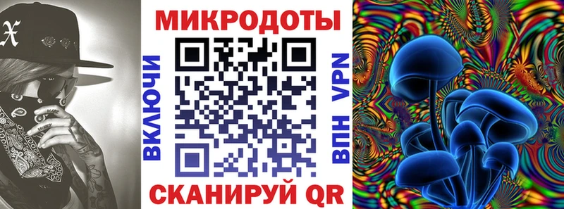 mega вход  Юрьев-Польский  Галлюциногенные грибы ЛСД 